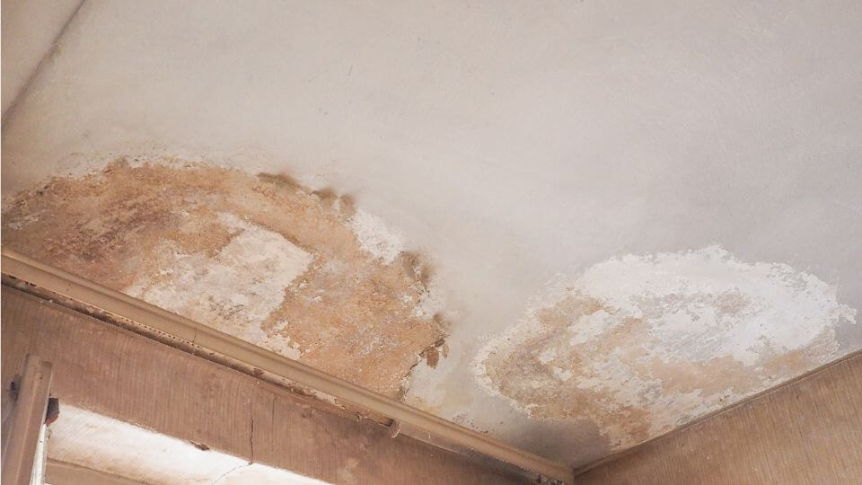 משתגעים מריח הרטיבות בבית? קח תשימו סוף לבעיה!