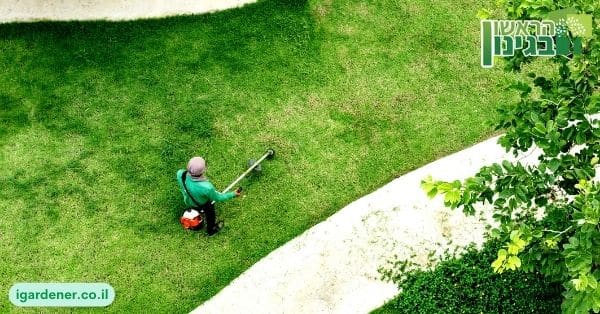 מצב מספר 1 שבו עדיף לבחור בדשא סינטטי על פני דשא אמייתי – כשצריך לחסוך בהוצאות מים