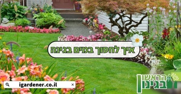 איך לחסוך במים בגינה