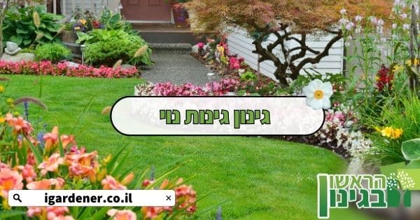 גינון גינות נוי