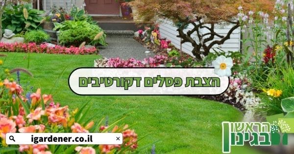הצבת פסלים דקורטיבים