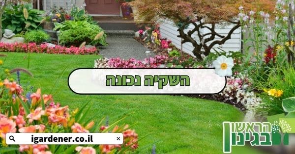 השקיה נכונה