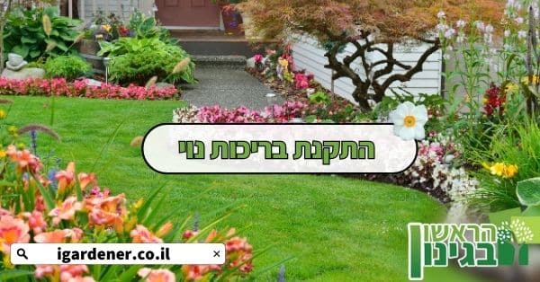 התקנת בריכות נוי