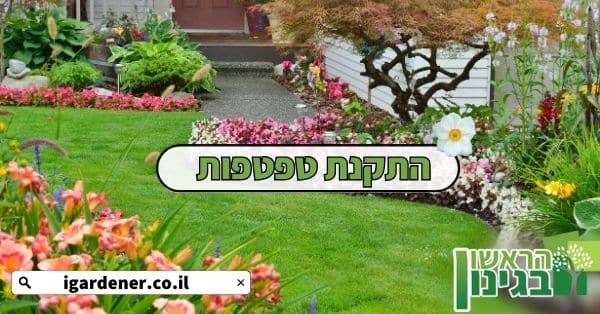 התקנת טפטפות