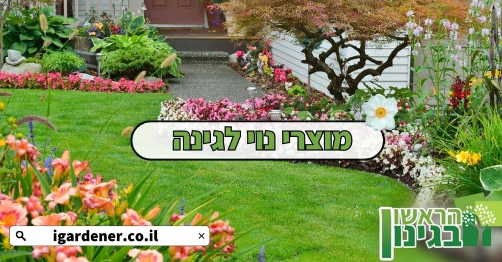 מוצרי נוי לגינה
