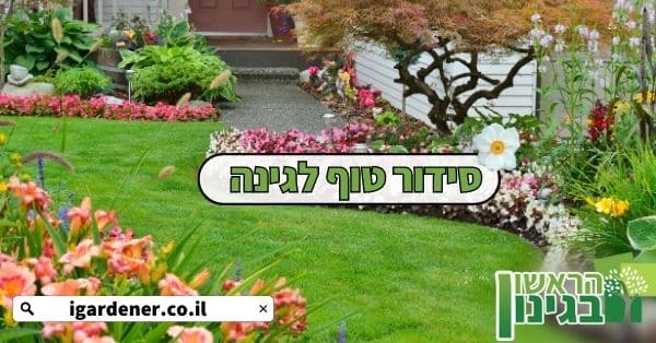 סידור טוף לגינה