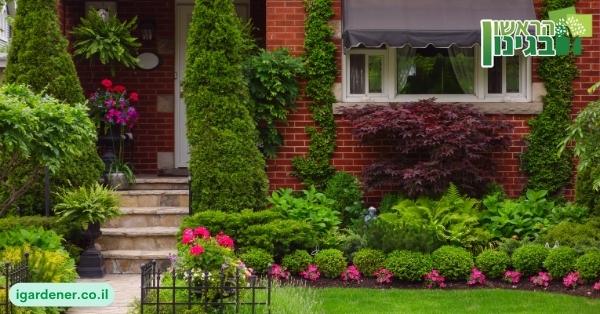 שיקום גינה וחצר