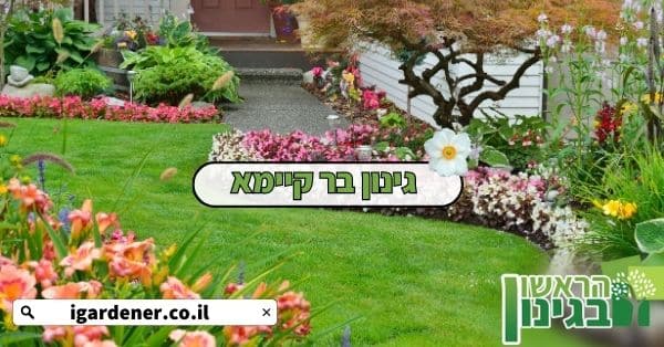 גינון בר קיימא