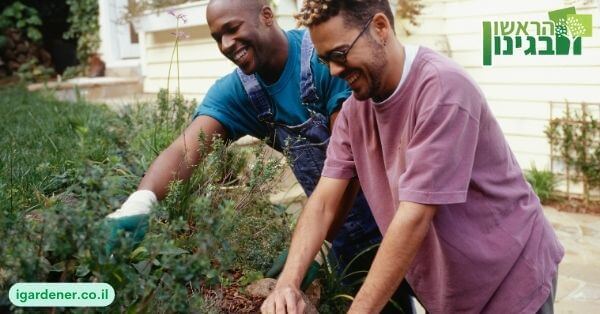 השלב ה – 2 בקידום גננים בדיגיטל_ בחירת דרכי הקידום המתאימות ביותר