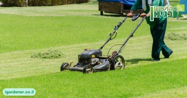 לאיזו חברה מובילה בתחום הגינון כדאי להתקשר