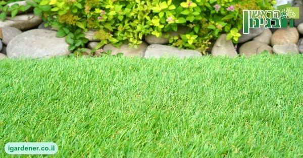 ניקיון דשא סינטטי בליווי גנן מקצועי